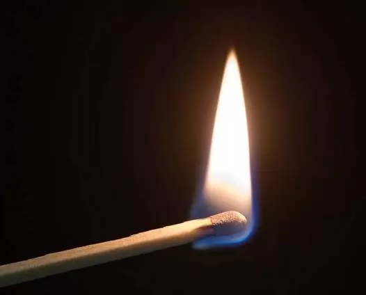 2019年:家有生肖【狗虎豬鼠兔】的人嗎,家有的就有運