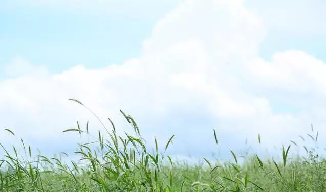 長期堅持早起的人,比熬夜的人更可怕?三個好處,受益匪淺