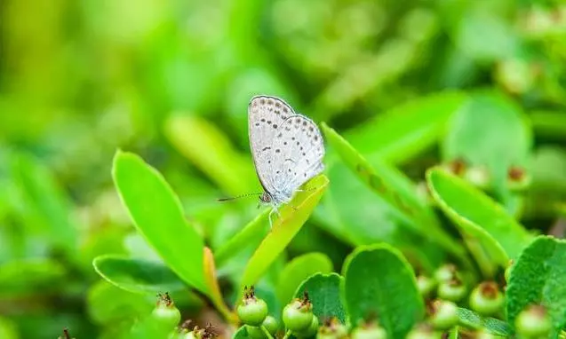 長期堅持早起的人,比熬夜的人更可怕?三個好處,受益匪淺