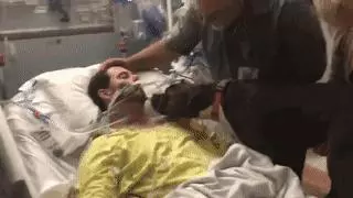 十幾歲老狗狗送別主人「讓我再看你一眼」在場所有人淚奔