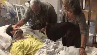 十幾歲老狗狗送別主人「讓我再看你一眼」在場所有人淚奔