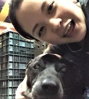 16歲老狗用盡最後力氣「爬到阿嬤照片旁」眼中含淚:終於可以去見您了