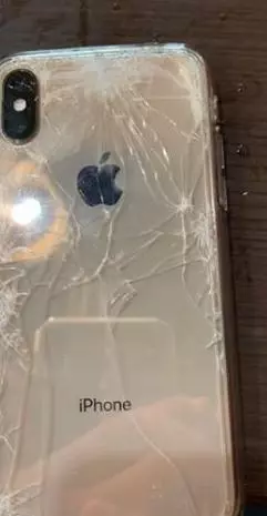 妙禪發威了?他路上撿到iPhone「桌面放seafood照片」 物歸原主後「神蹟顯現」網友全都愣住了
