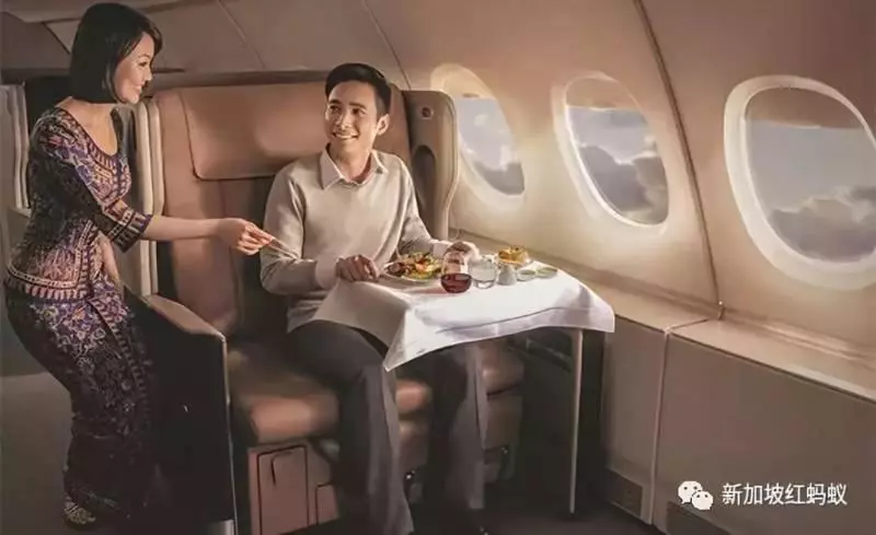 新航召募馬國美女俊男當空服員,工資2萬2500元起跳很誘人 !