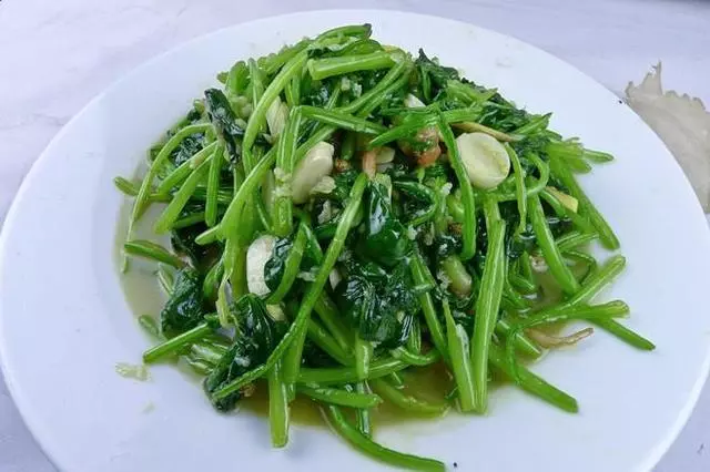 素菜也瘋狂!圓子分享18道素菜配方,還不乘著夏天來之前學兩道?