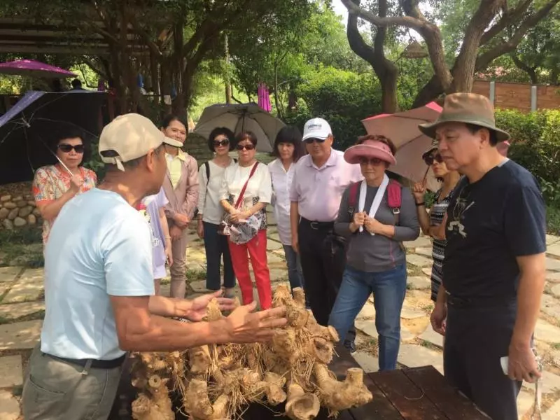 體驗當筍農!北台灣最大綠竹筍產地-觀音山 採筍一日遊