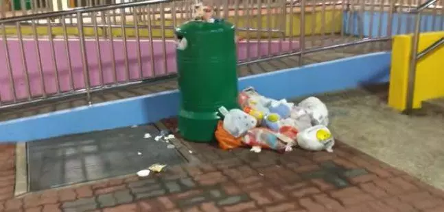 新加坡老鼠猖獗成災!竟敢在李顯龍的地盤搗亂!太不給面子了