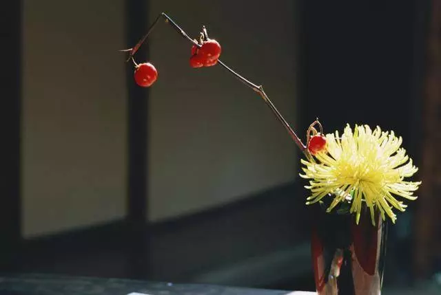 佛說:「種什麼因,受什麼果」,多行善積德,四件事不要做