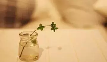 當你的年齡越來越大,什麼才是最重要的?