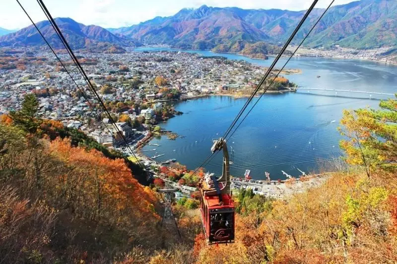 這裡到底是日本還是新加坡?全島已經瘋狂