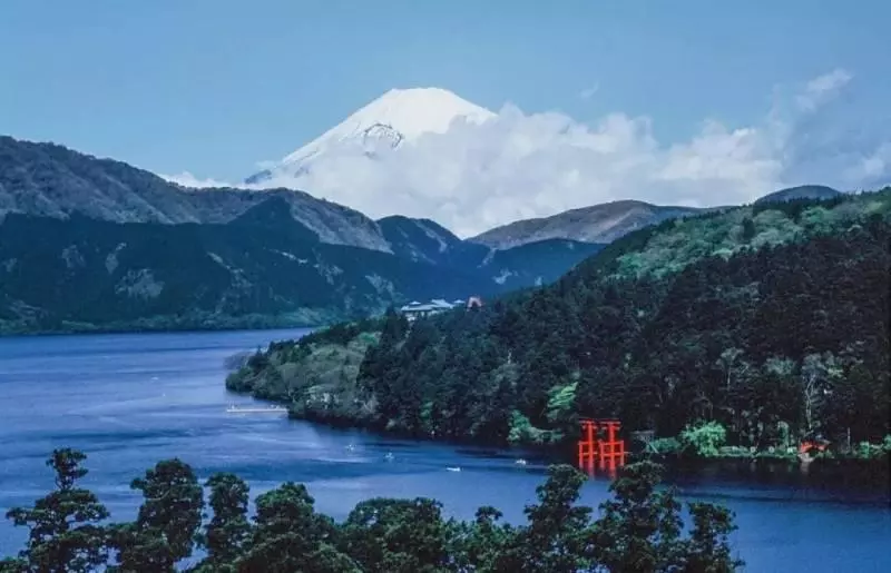 這裡到底是日本還是新加坡?全島已經瘋狂