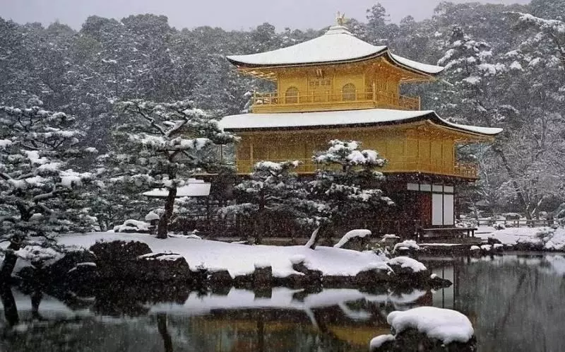 這裡到底是日本還是新加坡?全島已經瘋狂