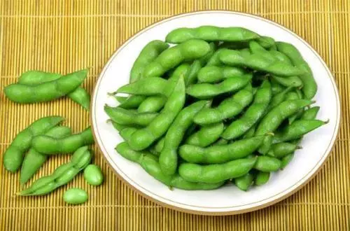 豌豆、蠶豆、毛豆,夏季適合多吃哪種豆類?希望你沒有選錯了