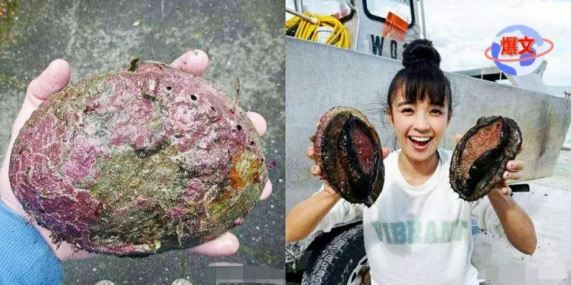 日本正妹出海遊玩撈到「巨型黑貝殼」超幸運 好奇撬開驚見「稀世珍寶」爽呼:賺翻啦~