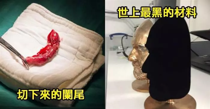 7個「你一定有好奇過 卻沒有機會親眼看到」的超罕見照片!
