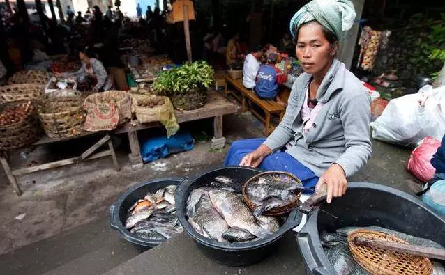 為什麼魚販子不喜歡人買魚回去自己弄?魚老闆不下心說了實話