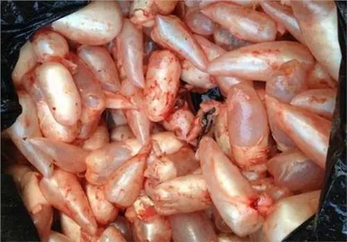 為什麼魚販子不喜歡人買魚回去自己弄?魚老闆不下心說了實話