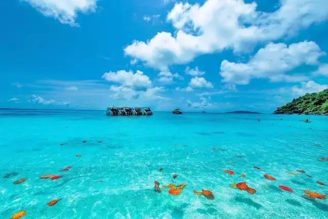 5天後開始休眠 斯米蘭島 全球十大最迷人景點 每天限