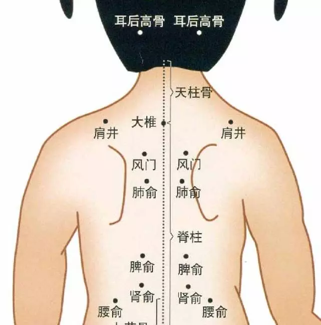 給寶寶長按三個地方,預防感冒,增強體質,還能止咳潤肺