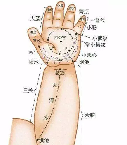 給寶寶長按三個地方,預防感冒,增強體質,還能止咳潤肺