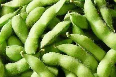 夏天缺鉀傷身又傷心,多吃這幾種綠色補鉀食物,平安度過一整夏