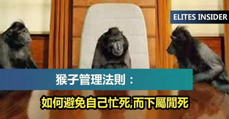 如何避免自己忙死,而下屬閒死