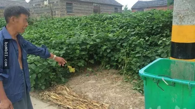 91歲老阿嬤慘遭丟在垃圾桶旁自生自滅,當警察救她回家後竟然發現令人髮指的真相!