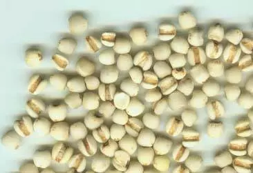 跟大家分享一個小秘方,超神的!我連續喝了三個多星期,不僅白頭髮不見了、皮膚還變得有光澤了!