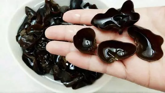 泡木耳用冷水,還是熱水?營養師:真正要注意的,是泡木耳的時間