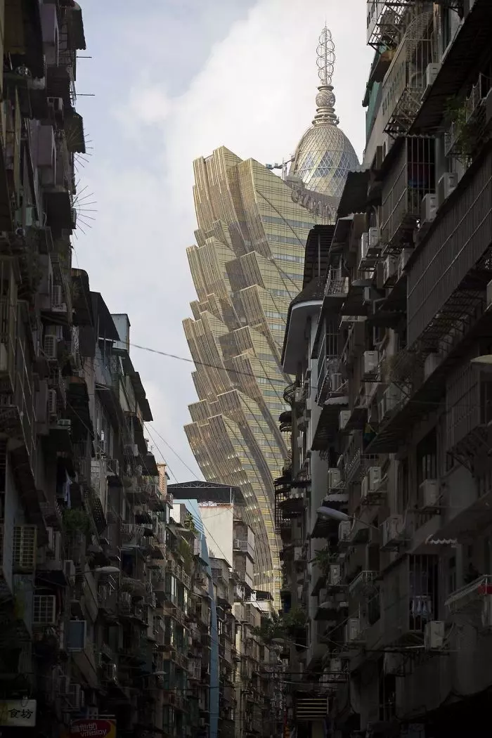 最強30張!2019年國家地理攝影決賽公開 網讚嘆:張張神作