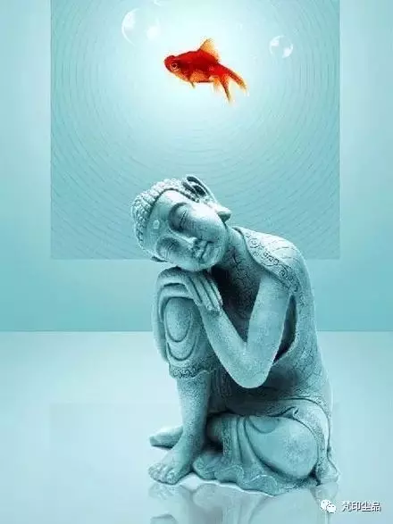 佛說:情緒,就是心魔(深度好文)