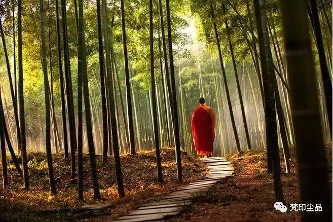 佛說:情緒,就是心魔(深度好文)