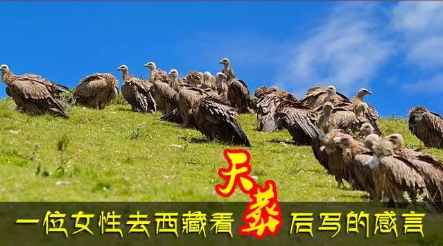 去西藏看天葬後感言,人活著一定要開心快樂,萬般帶不走,唯有業隨身