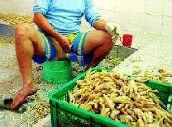 女生千萬不要吃這個東西!男人也盡量少吃哦!