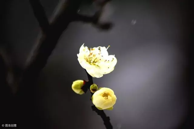 心理測試:假如結婚,你會戴哪個頭紗?測你婚後會不會被欺負成黃臉婆