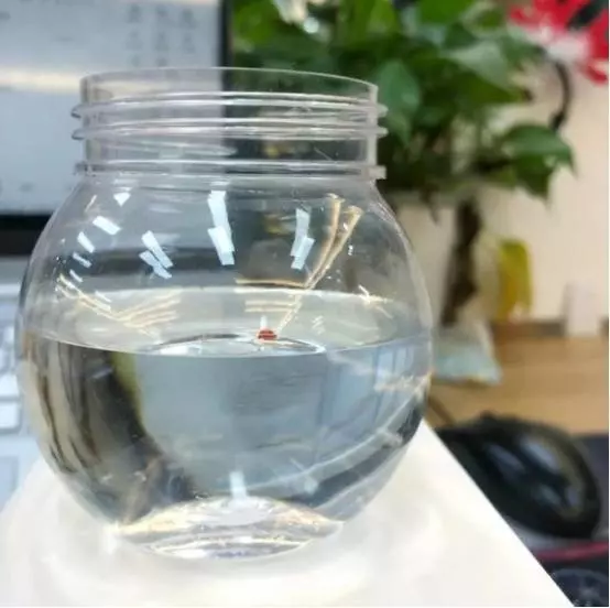 用【食鹽】,輕鬆測出口紅含鉛量,快看下你的口紅有沒有【毒】