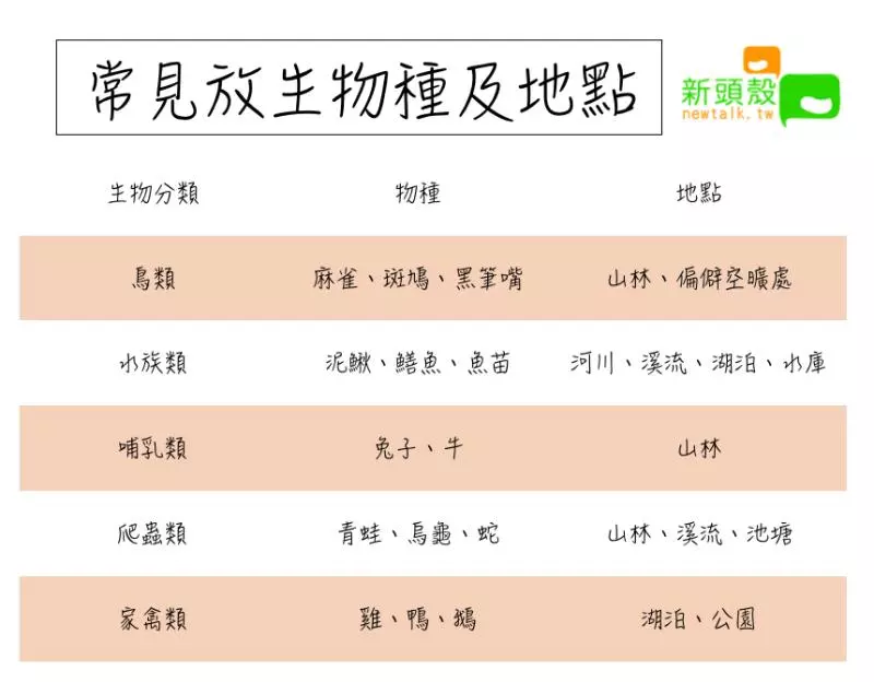 隨意放生不是美德!這四大生態危機不可不知