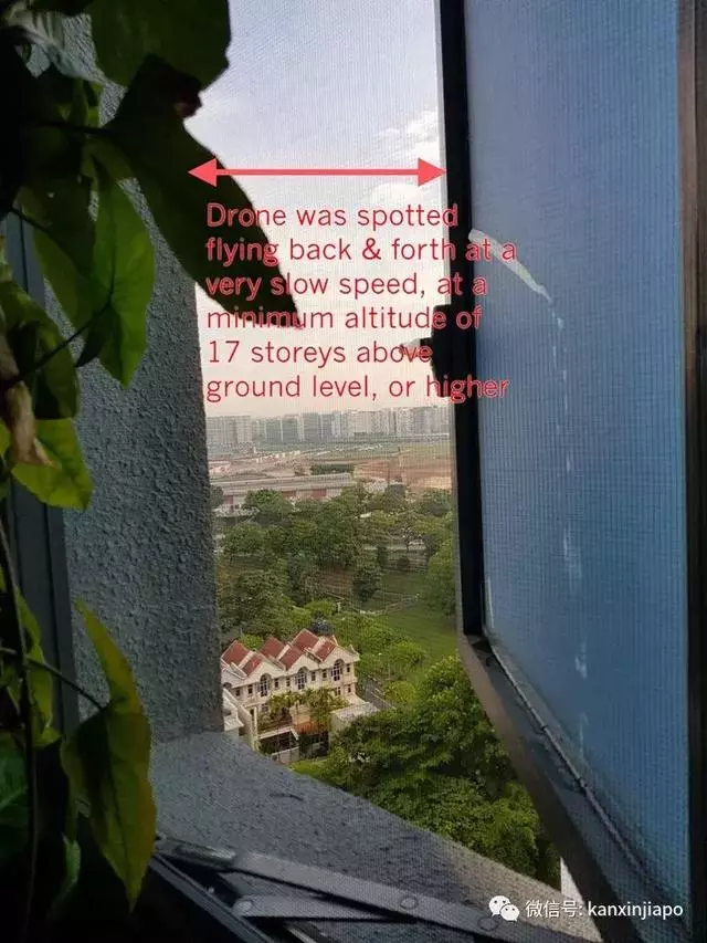 住高層要小心!她在新加坡住17樓,洗澡時無意看到不明飛行物在飛!