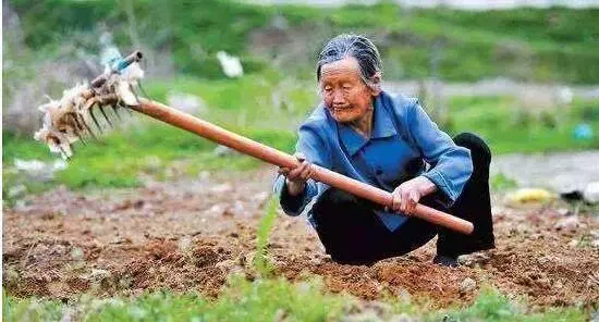 父母從鄉下來看我,老公給他們吃剩菜,之後婆婆過來我煮泡麵招待