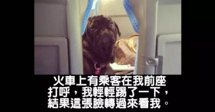 20張正命「可愛動物讓地球美好」的超萌動物趣圖。
