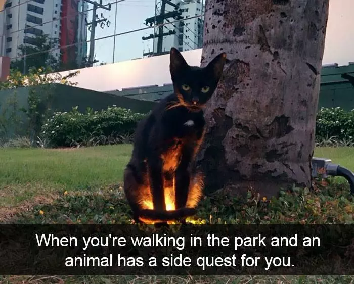 20張正命「可愛動物讓地球美好」的超萌動物趣圖。