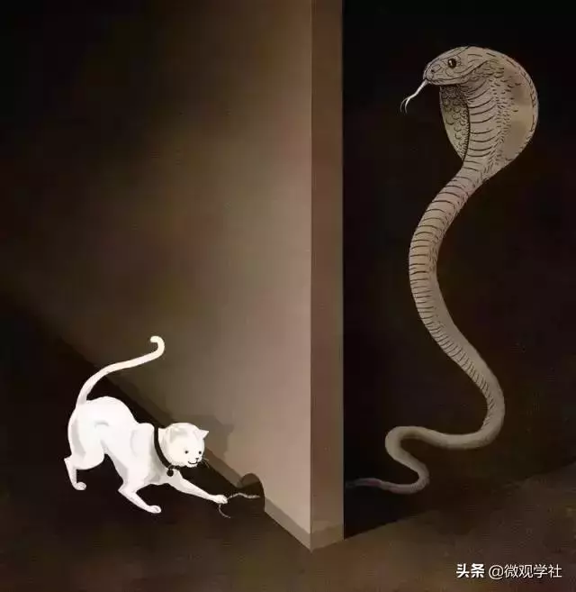 那些優秀的人,為何都喜歡尊重別人?(深度好文)