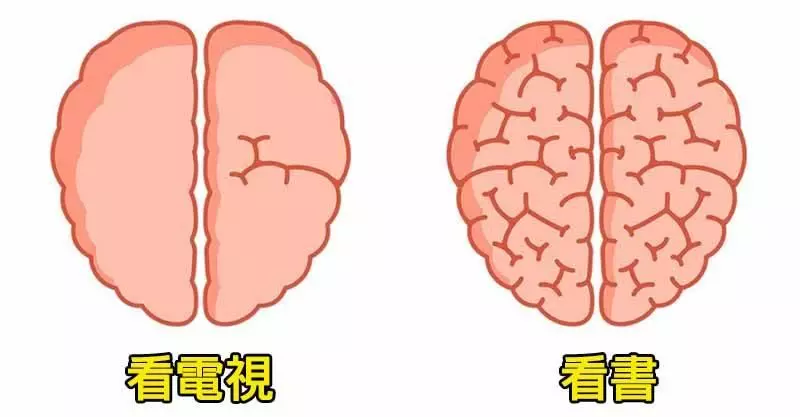 9個證明我們其實能讓自己變得更聰明的「大腦秘密」,這些習慣會讓我們「變蠢」!