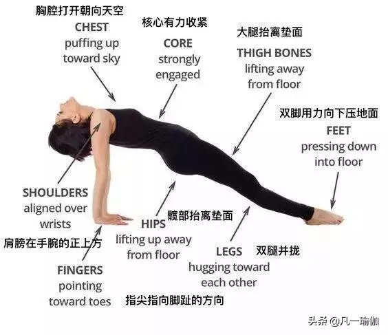 一篇文章兩項內容,27張瑜伽細節圖加練習注意事項,分享給大家