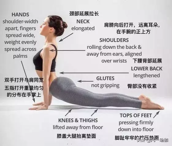 一篇文章兩項內容,27張瑜伽細節圖加練習注意事項,分享給大家
