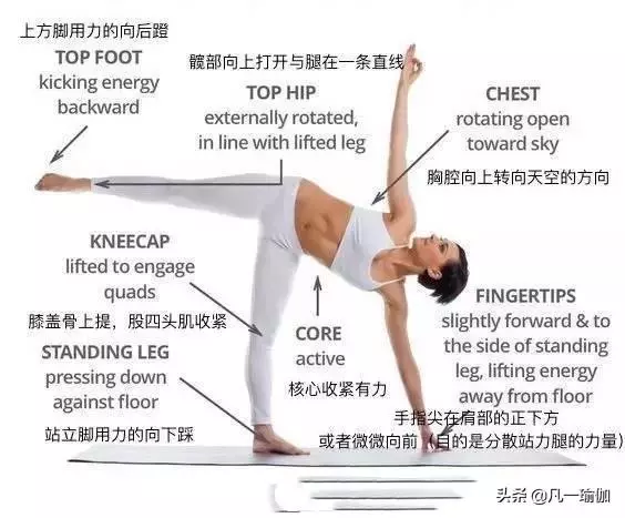 一篇文章兩項內容,27張瑜伽細節圖加練習注意事項,分享給大家