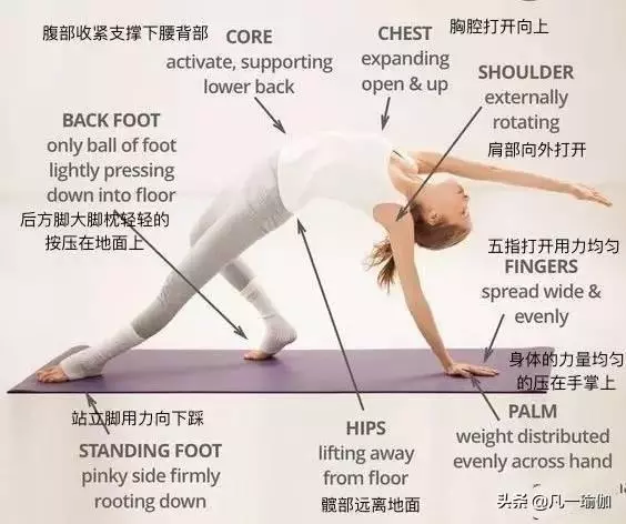 一篇文章兩項內容,27張瑜伽細節圖加練習注意事項,分享給大家