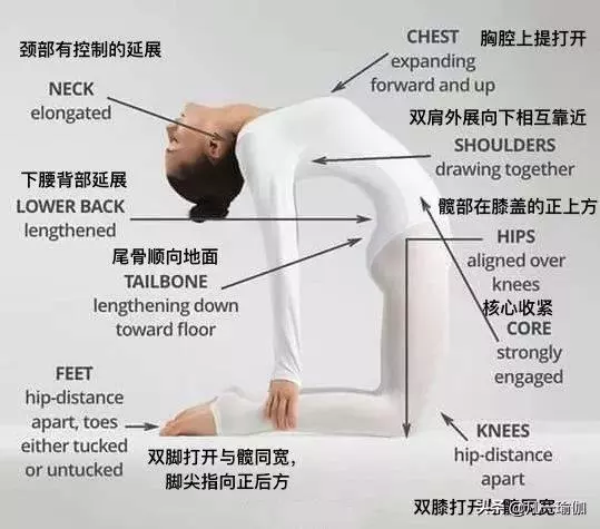 一篇文章兩項內容,27張瑜伽細節圖加練習注意事項,分享給大家