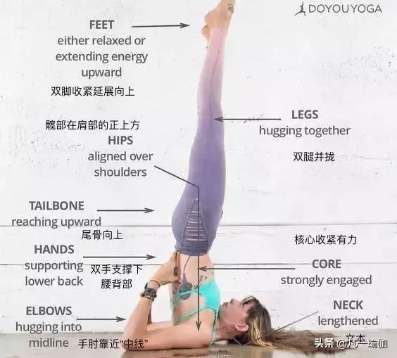 一篇文章兩項內容,27張瑜伽細節圖加練習注意事項,分享給大家