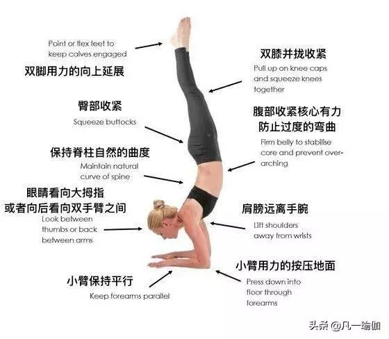 一篇文章兩項內容,27張瑜伽細節圖加練習注意事項,分享給大家